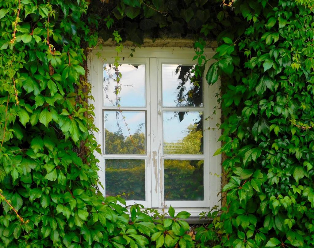 window image