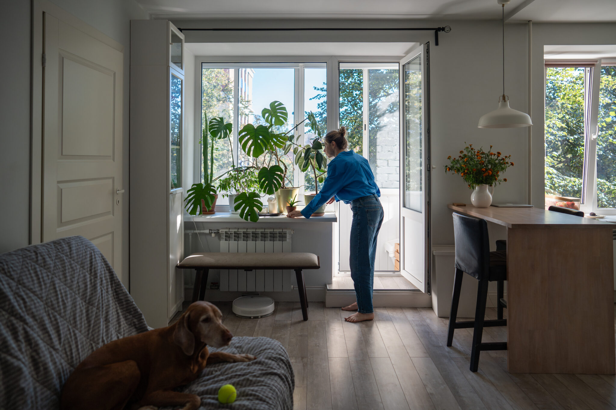 Windows And Doors North York