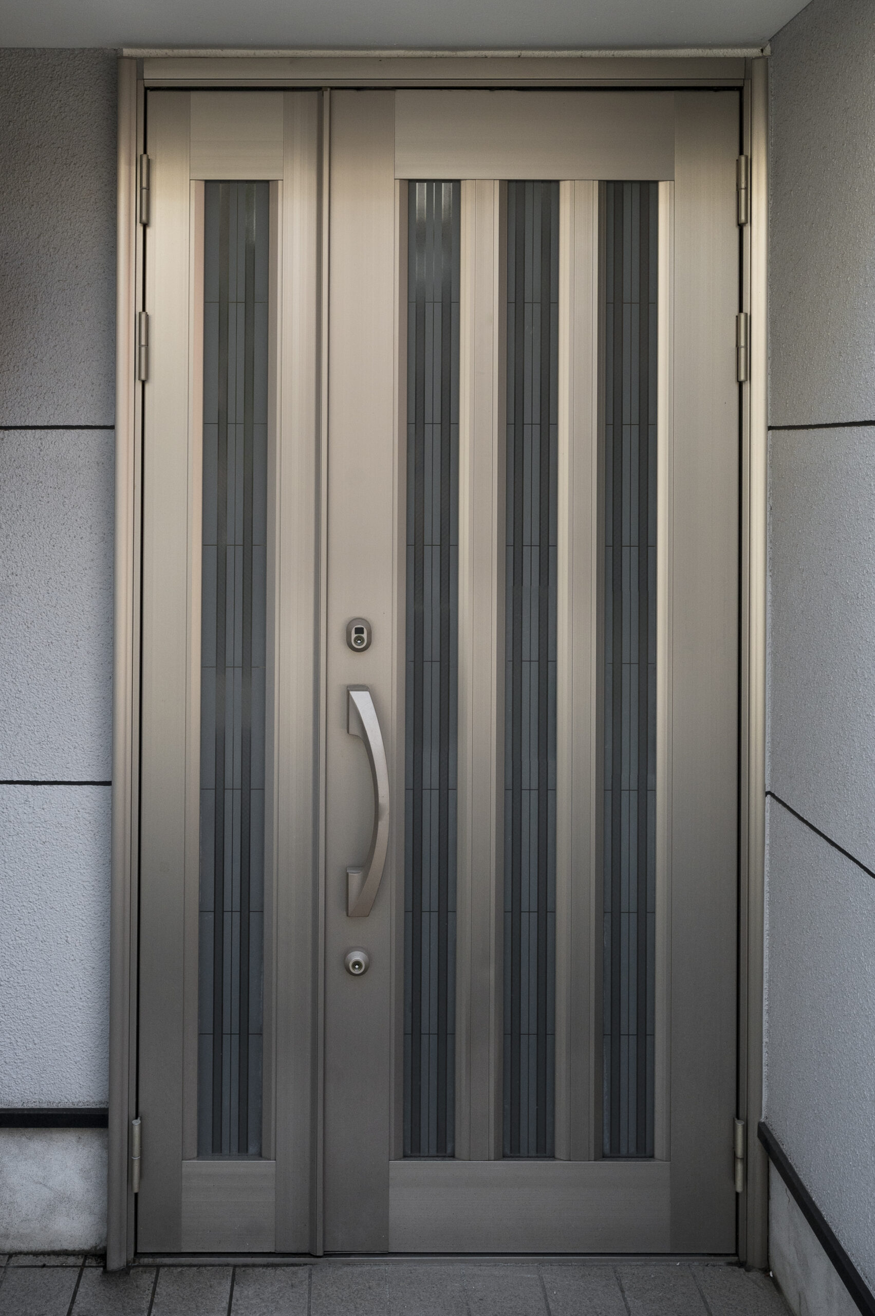 Steel Entry Door | French Door
