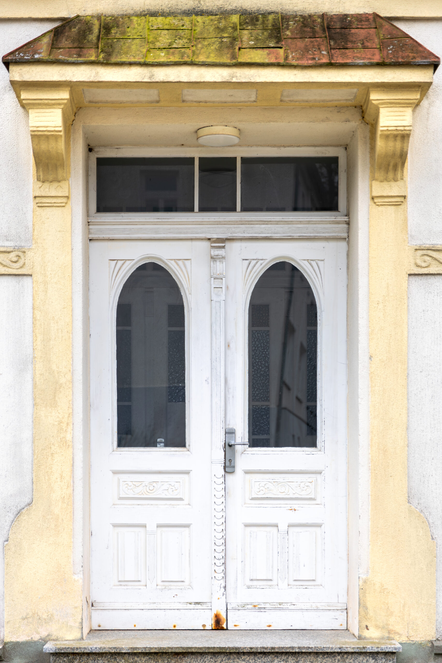 Fiberglass French Door for Entry Gate