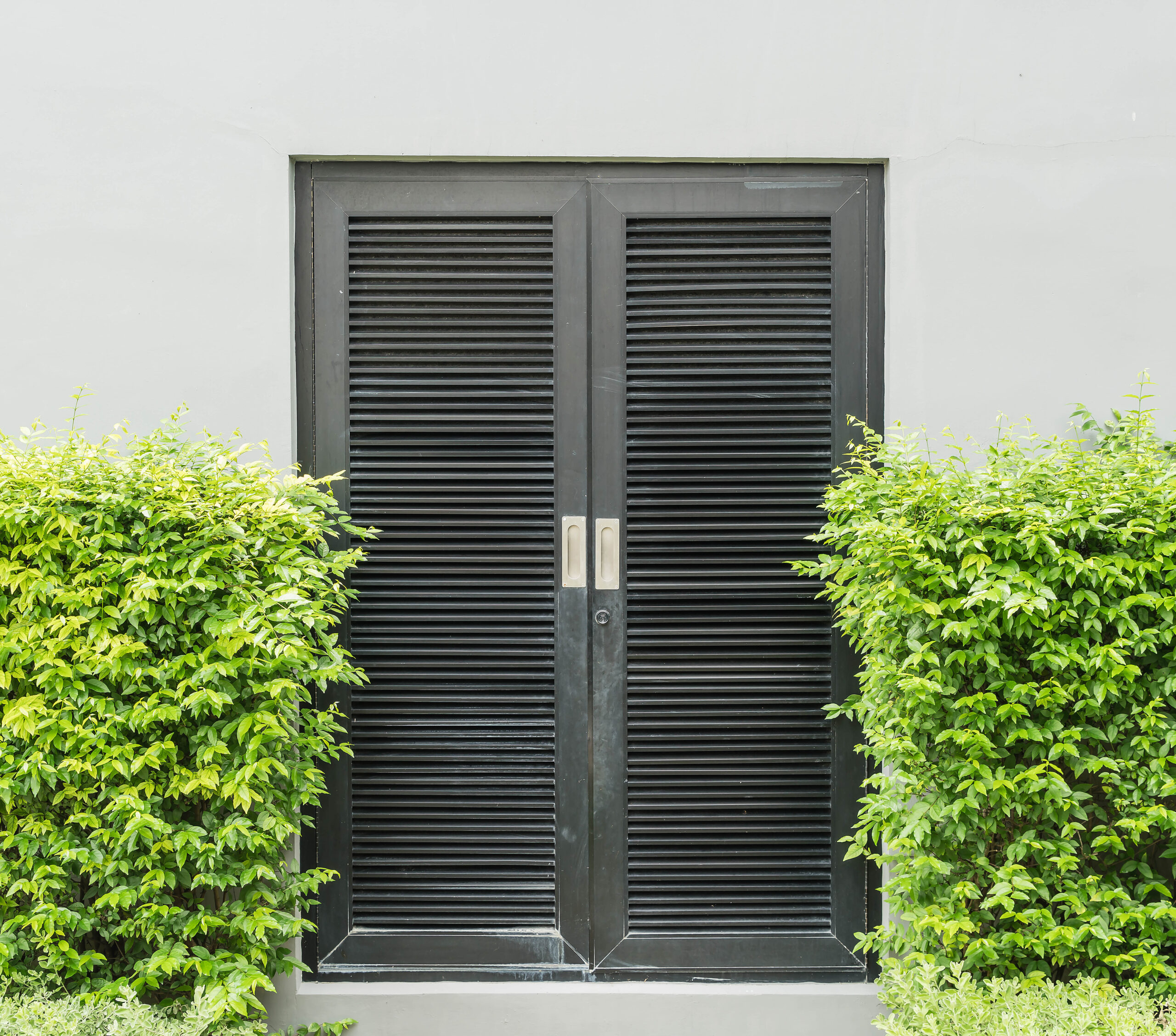 Steel Door for Entry