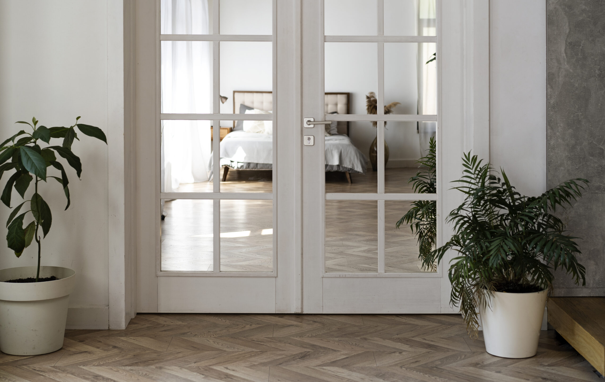 Double Panel Glass Doors Toronto | Barn Doors