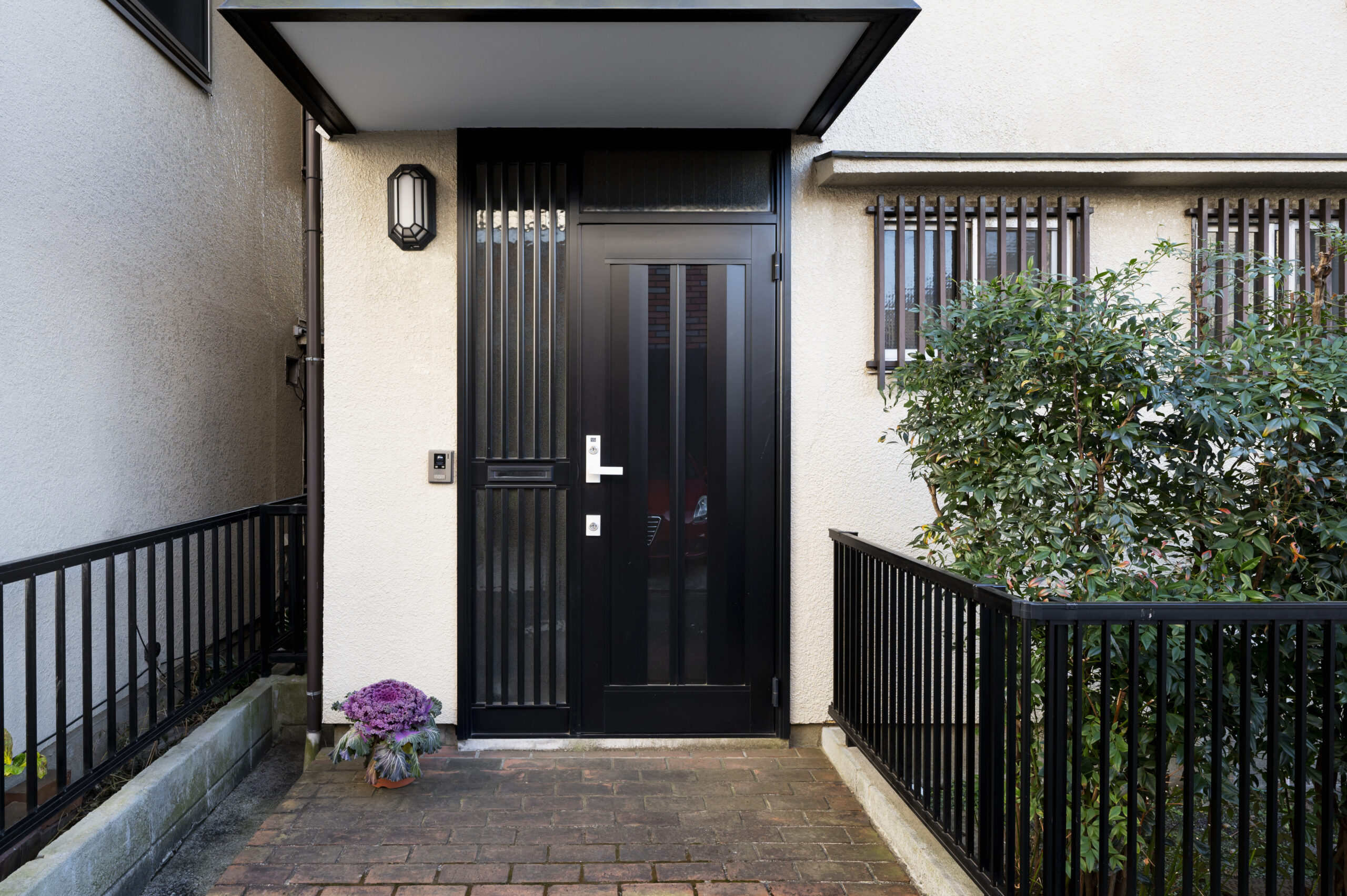 Low Maintenance Steel Entry Door